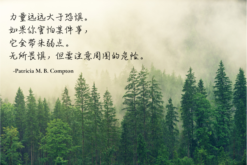 南非老奶奶教会我的一件事